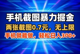 手机截图暴力掘金，两张截图0.7米，一部手机就能做，轻松日入3张 【揭秘】