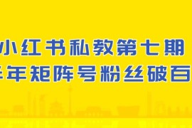 小红书私教第七期，小红书90天涨粉18w，1周涨粉破万 半年矩阵号粉丝破百万