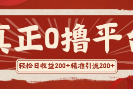 真正的0撸项目，每天轻松收入500 ，有钱有产品，还有管道收益
