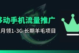 手机流量领取推广_每月一轮，刚需类的长期项目