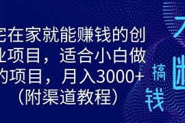 宅在家就能赚钱的创业项目，适合小白做的项目，月入3000 （附渠道教程）
