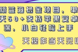 （11290期）最新蓝海撸金项目，单号一天50 ， 支持苹果安卓双端，小白轻松上手 当…