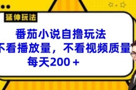 番茄小说自撸玩法，不看播放量，不看视频质量，每天200 【揭秘】