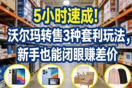 5小时速成！沃尔玛转售3种套利玩法，新手也能闭眼賺差价