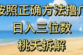 最新零撸看广告賺米，按照正确方法撸广，日入三位数，适合学生宝妈上班族