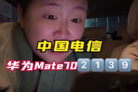 华为电信手机(华为电信手机号拨号无法访问网络)