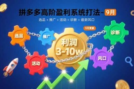 （15916期）拼多多高阶盈利系统打法-9月：选品 推广 活动 诊断 最新风口，月利润3-10w