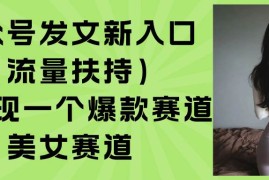（15781期）公众号发文新入口（流量扶持），又发现一个爆款赛道：美女赛道