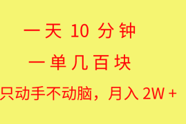 （10974期）一天10 分钟 一单几百块 简单无脑操作 月入2W 教学