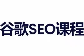 小白新君SEO·谷歌搜索引擎优化SEO教程(部分更新2026)