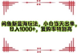 （12516期）闲鱼新蓝海玩法，小白当天出单，日入1000 ，复购率特别高