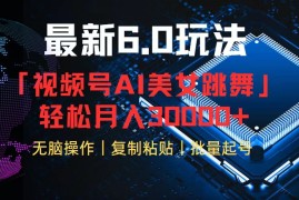 （12293期）视频号6.0最新玩法AI美女跳舞，轻松月入30000 