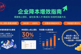 （15888期）企业降本增效指南：搭建线上团队，省社保/聚人才/降成本/实现利润最大化