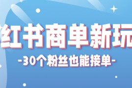 合新手小白操作的小红书商单新玩法，低粉丝也能接单，一个月接三单赚了150 ！