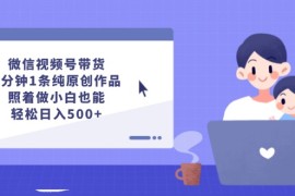 （12218期）微信视频号带货，5分钟1条纯原创作品，照着做小白也能轻松日入500 