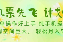 （10038期）机票先飞计划！里程积分兑换机票售卖赚差价，利润空间巨大，小白月入5万 