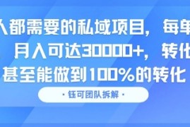 每个人都需要的私域项目，每单利润40米，月入可达3W ，转化率高 甚至能做到100%的转化