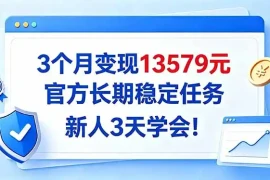 3个月变现13579元，官方长期稳定任务，新人3天学会！