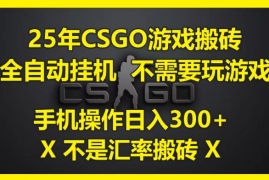 25年CSGO游戏搬砖，全自动挂机，不需要玩游戏，手机操作日入300 。(不是汇率搬砖)
