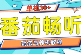 （13571期）番茄畅听全方位教程与玩法：一天单设备日入30 不是问题