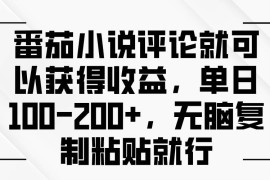 （13579期）番茄小说评论就可以获得收益，单日100-200 ，无脑复制粘贴就行