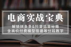 （13195期）电商实战宝典 解锁拼多多