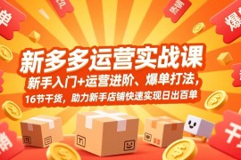 （17342期）拼多多运营实战课，新手入门 运营进阶、爆单打法，16节干货，助力新手店铺快速实现日出百单