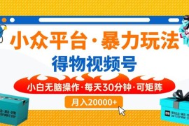 （14114期）【得物】小众平台暴力玩法，一键搬运爆款视频，可矩阵，小白无脑操作，…