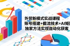（16496期）外贸新模式实战课程，账号搭建 截流技术 AI矩阵 独家方法实现自动化获客