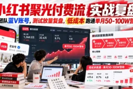 小红书聚光付费流实战复盘｜小团队蓝V账号，测试放量复盘，低成本跑通单月50‑100W营收【文档】