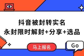 （14195期）抖音被封转实名攻略，永久封禁也能限时解封，分享解封后高效选品技巧
