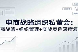 电商战略组织私董会：电商战略 组织管理 实战案例深度复盘