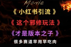 最近小红书引流这个邪修玩法才是版本之子，很多赛道早用早吃肉