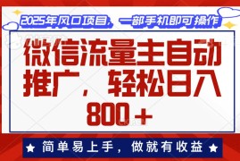 （13993期）微信流量主自动推广，轻松日入800 ，简单易上手，做就有收益。