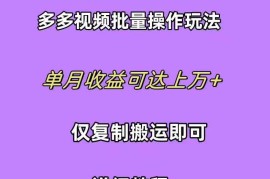 （10029期）拼多多视频带货快速过爆款选品教程 每天轻轻松松赚取三位数佣金 小白必…