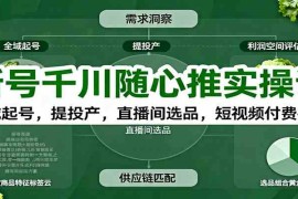 新号千川随心推实操课：全域起号，提投产，直播间选品，短视频付费拉爆