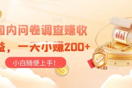 国内问卷调查赚收益，一天小赚 200 ，小白随便上手