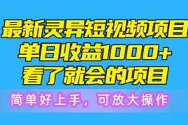 （10542期）最新灵异短视频项目，单日收益1000 看了就会的项目，简单好上手可放大操作