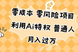 零成本零风险项目，利用Ai特权，普通人月入过W