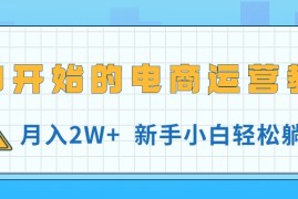 （11081期）从0开始的电商运营教学，月入2W ，新手小白轻松躺赚