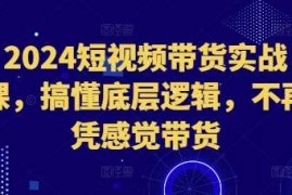 2024短视频带货实战课，搞懂底层逻辑，不再凭感觉带货