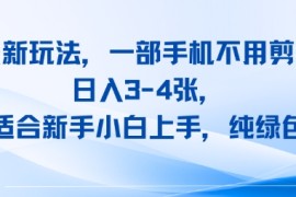 头条新玩法，一部手机不用剪辑，日入3-4张，适合新手小白上手，纯绿色