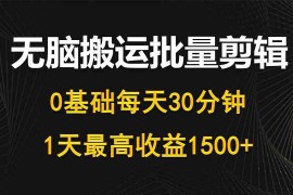 （10008期）每天30分钟，0基础无脑搬运批量剪辑，1天最高收益1500 