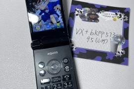 夏普最新款翻盖手机(夏普最新款翻盖手机有哪些)