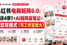 小红书电商矩阵6.0：单店4带1 AI矩阵发笔记 测怼双模式(可工作室放大)
