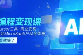 AI编程变现课：掌握Cursor工具 商业变现，一年学会MicroSaaS产品全流程