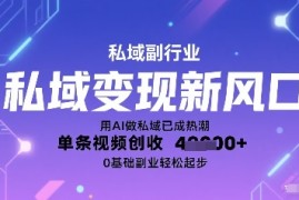 私域变现新风口：用AI做私域已成热潮，单条视频创收1k ，0基础副业轻松起步