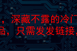 steam代安装，深藏不露的冷门项目，教你做出爆款作品，只需发发链接，日入300 