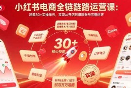 （15751期）小红书电商全链路运营课：涵盖30 实操单元，实现从开店到爆款账号完整闭环