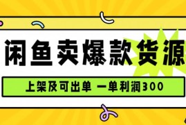 （15977期）闲鱼卖爆款货源，每天利润1000，上架即出单